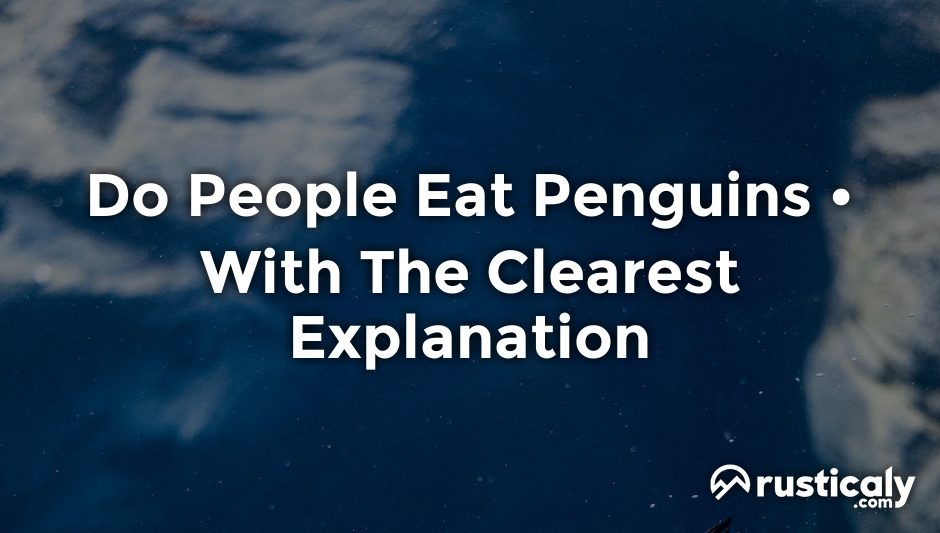 do people eat penguins