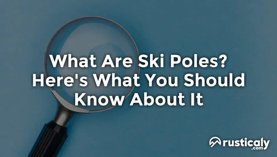 what are ski poles