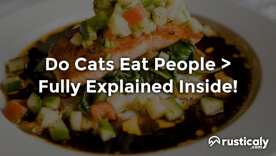 do cats eat people