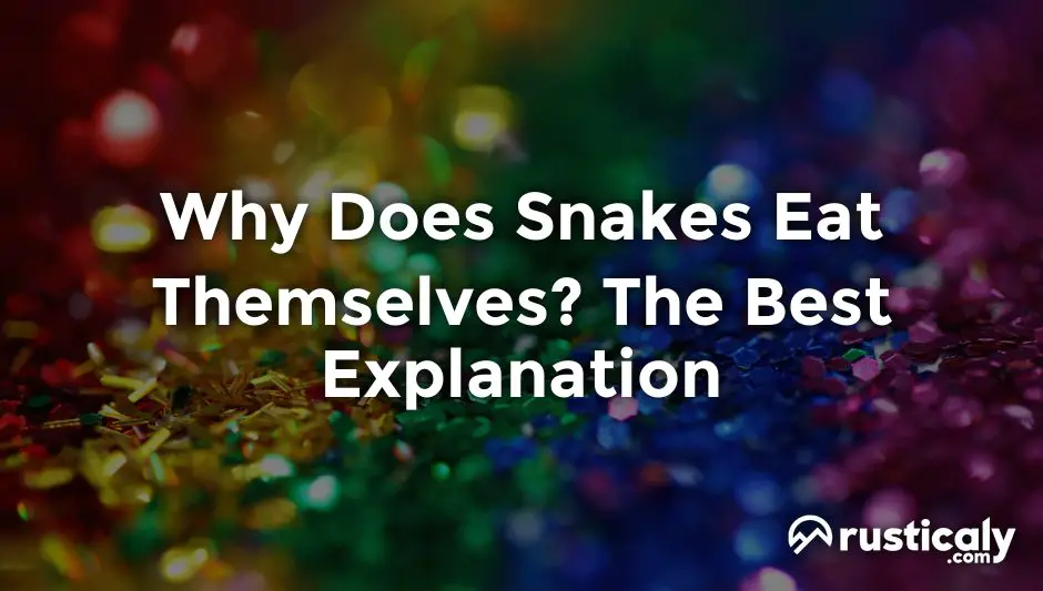 why does snakes eat themselves