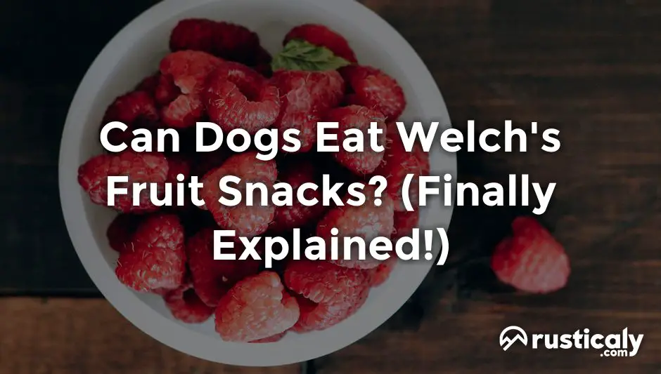 can dogs eat welch's fruit snacks