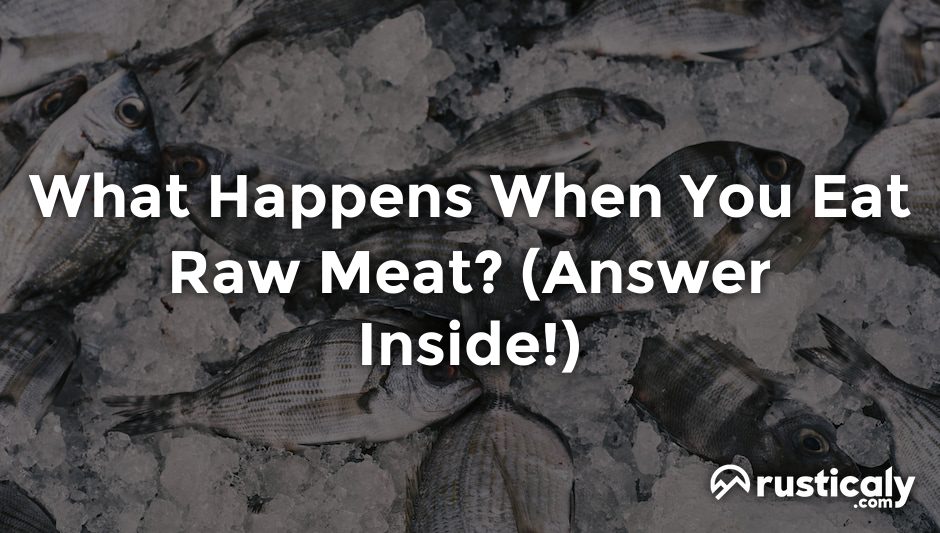 what happens when you eat raw meat