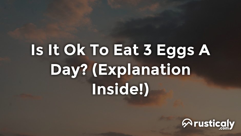 is it ok to eat 3 eggs a day