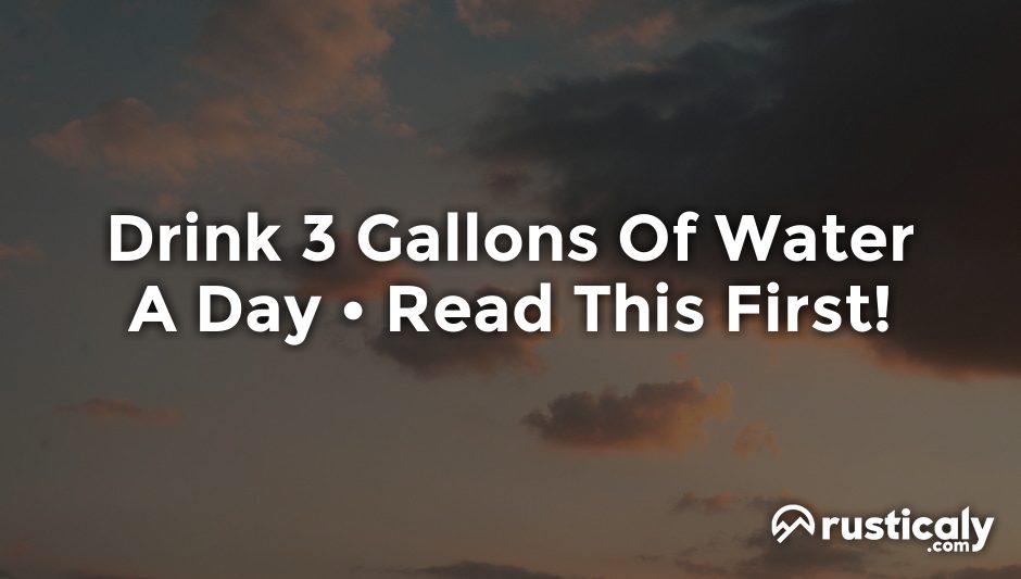 drinking 2 3 gallons of water a day