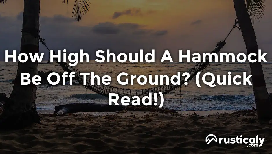 how high should a hammock be off the ground