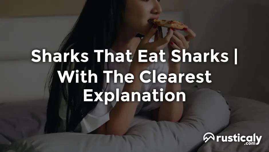 Sharks that eat sharks with the clearest explanation