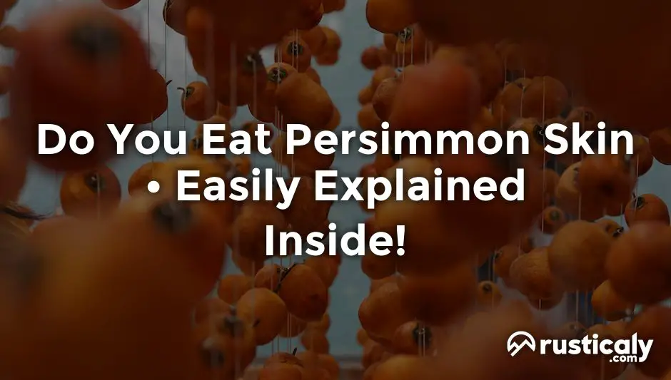 Do You Eat Persimmon Skin > Easily Explained Inside!