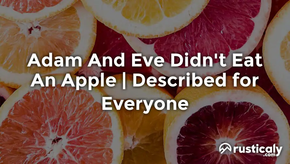 adam and eve didn't eat an apple