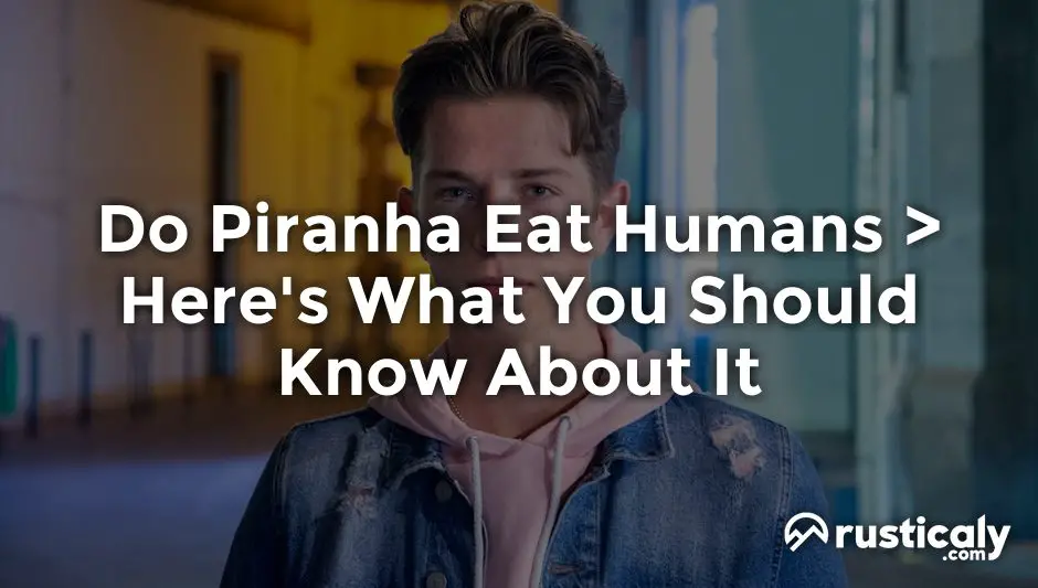 do piranha eat humans
