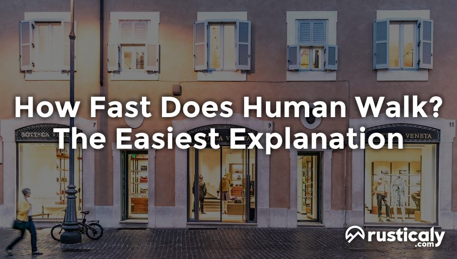how fast does human walk