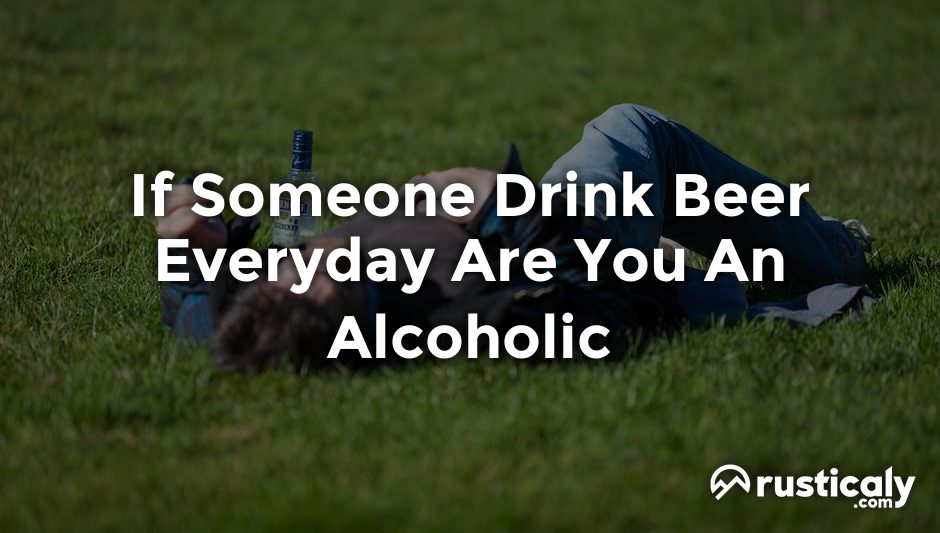 if someone drink beer everyday are you an alcoholic