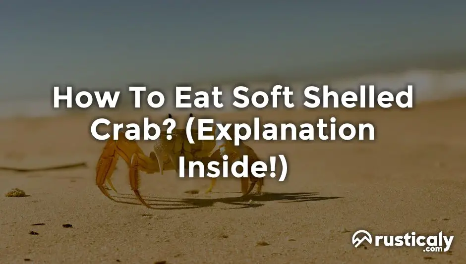 how to eat soft shelled crab