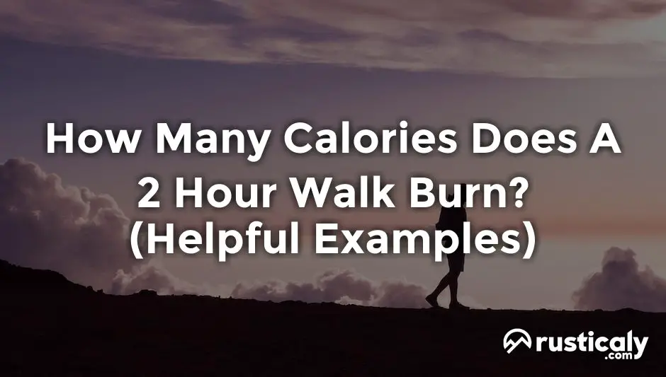 how many calories does a 2 hour walk burn