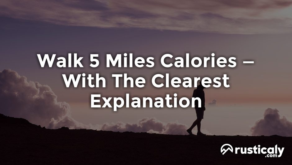 walk 5 miles calories