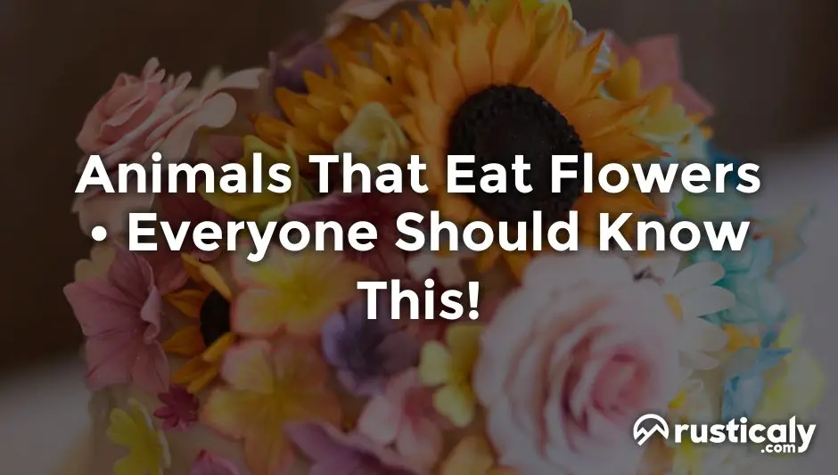 animals that eat flowers