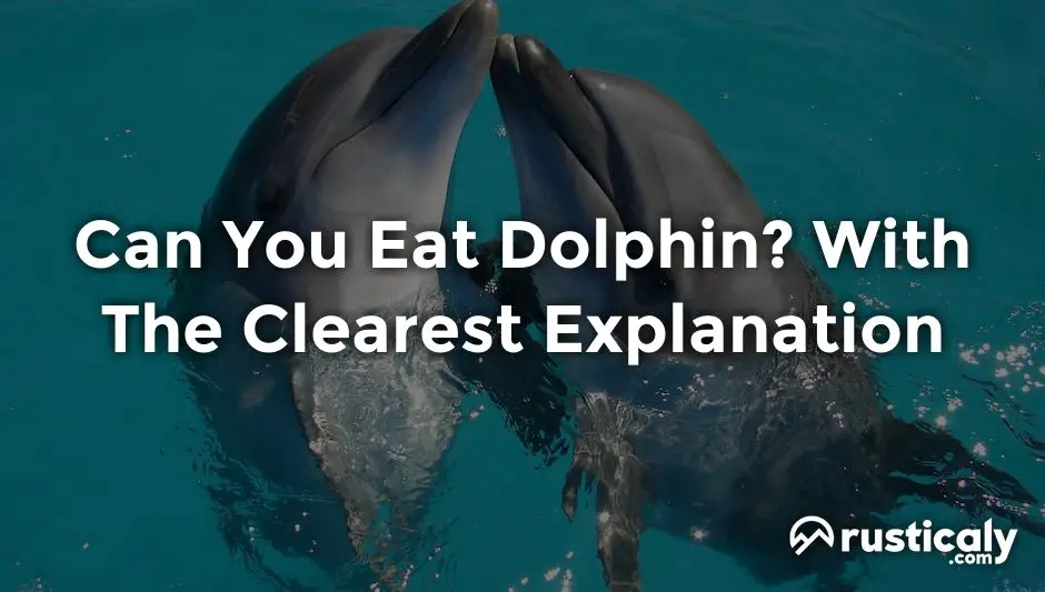 can you eat dolphin