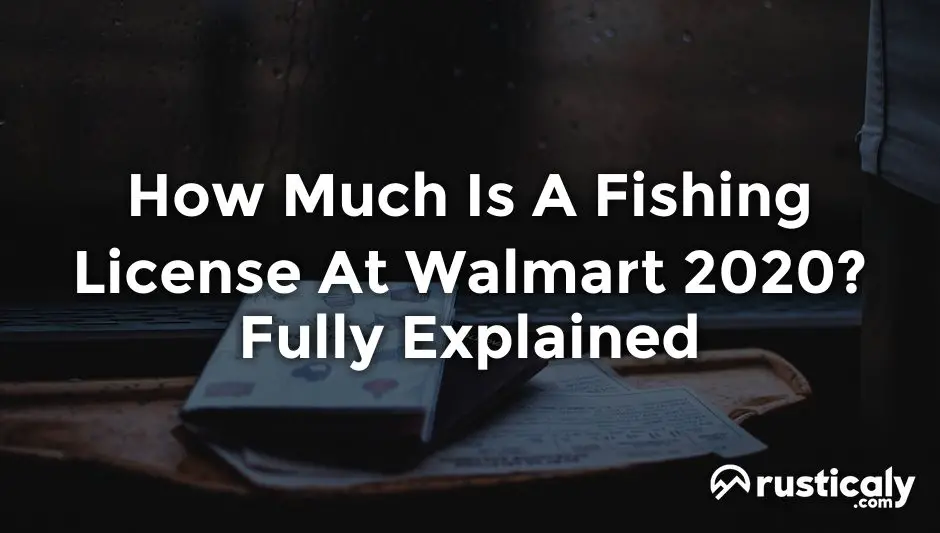 how much is a fishing license at walmart 2020