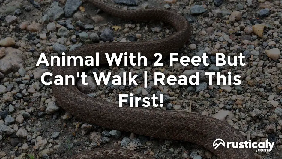 animal with 2 feet but can't walk