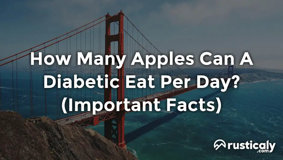 how many apples can a diabetic eat per day