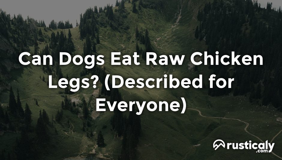 can dogs eat raw chicken legs