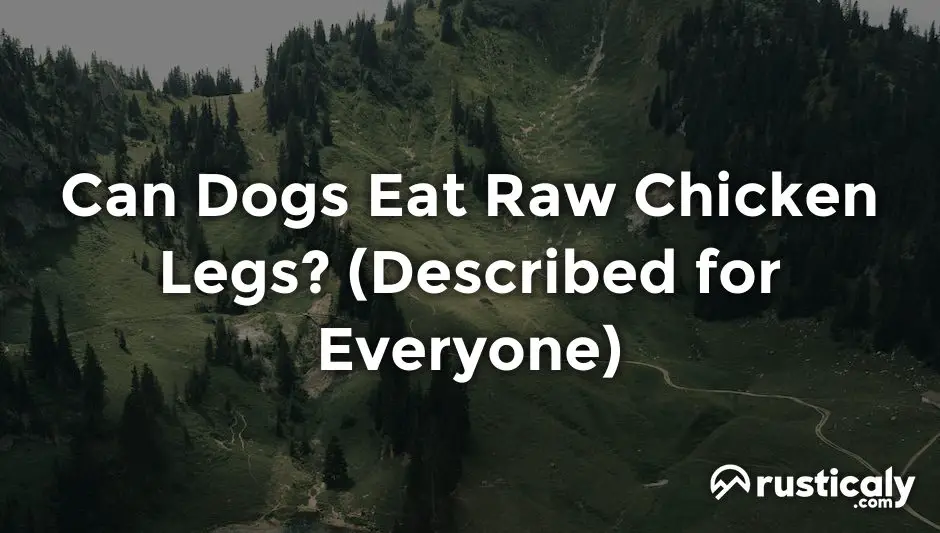 can dogs eat raw chicken legs