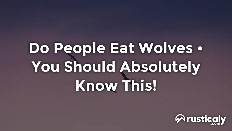 do people eat wolves