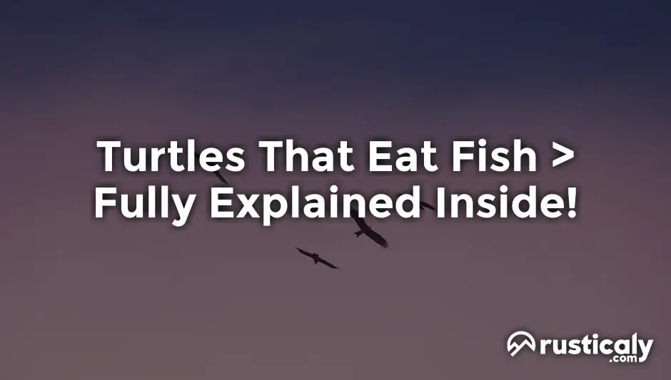 turtles that eat fish