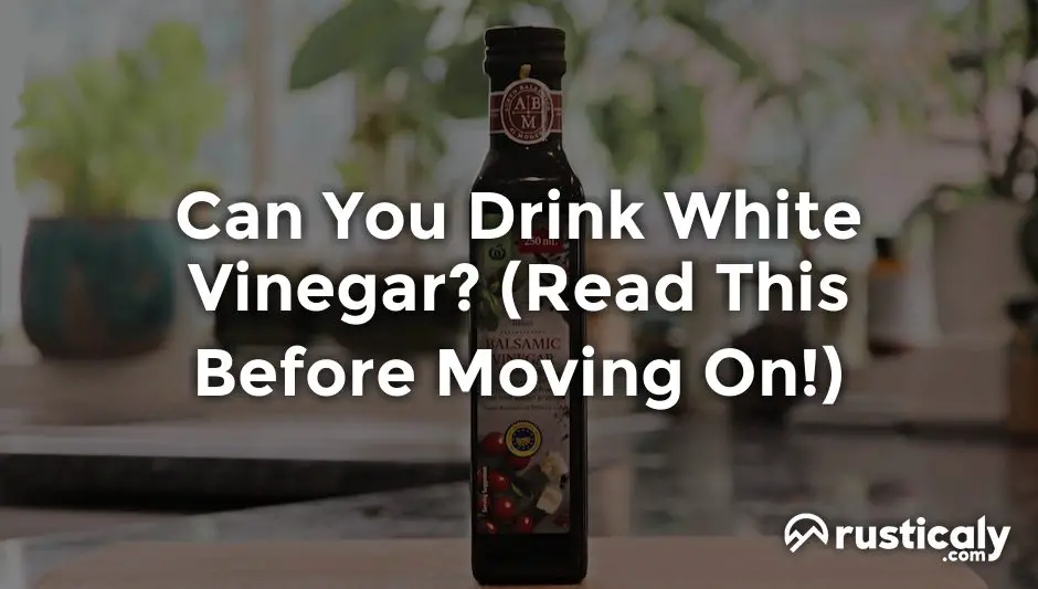 Can You Drink White Vinegar? What People Don't Tell You