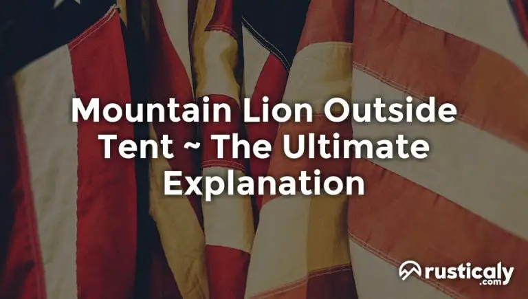 mountain lion outside tent