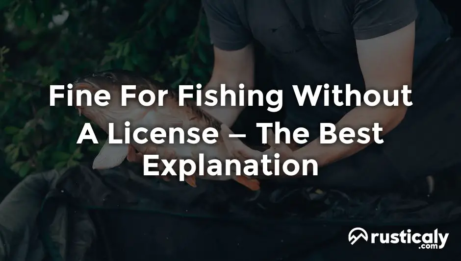 fine for fishing without a license