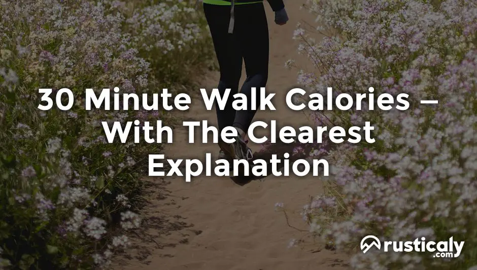 30 Minute Walk Calories • Everyone Should Know This!