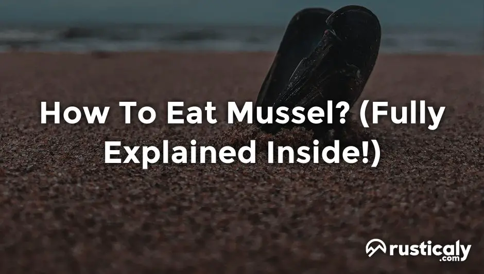 how to eat mussel