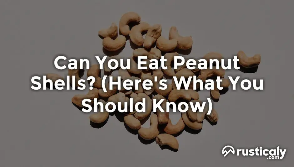 Can You Eat Peanut Shells? (Here's What You Should Know)