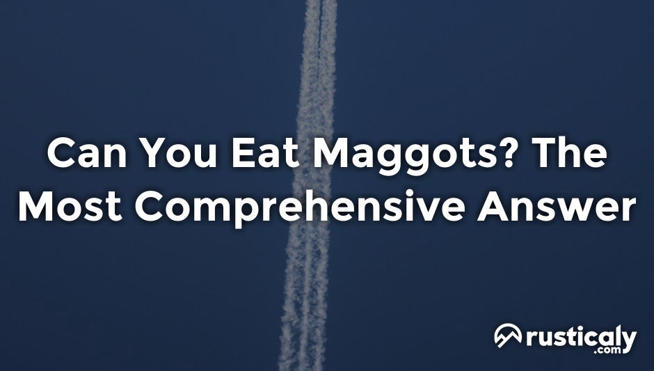 can you eat maggots