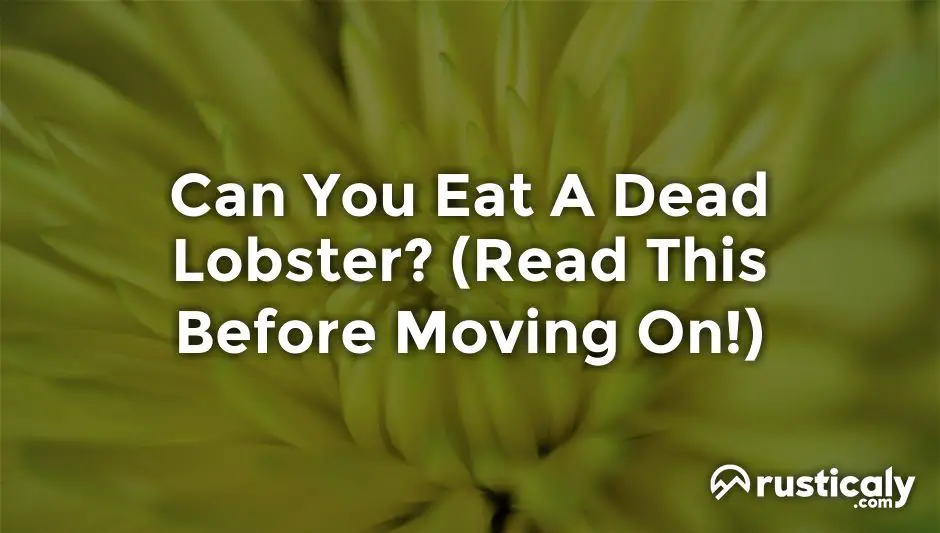 can you eat a dead lobster