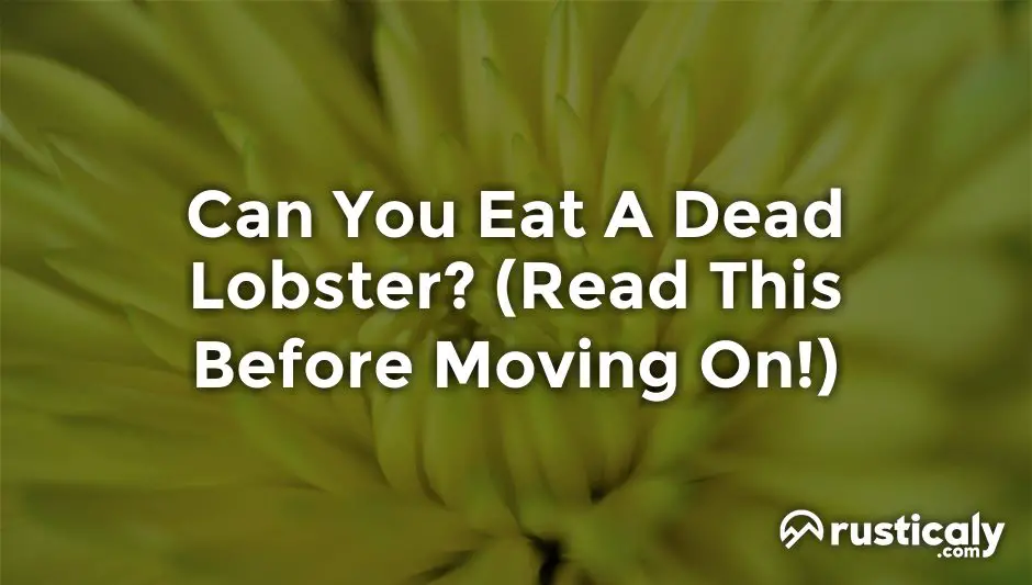 Can You Eat A Dead Lobster? The Ultimate Explanation