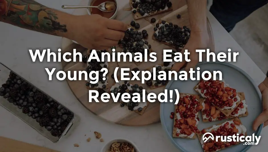which animals eat their young