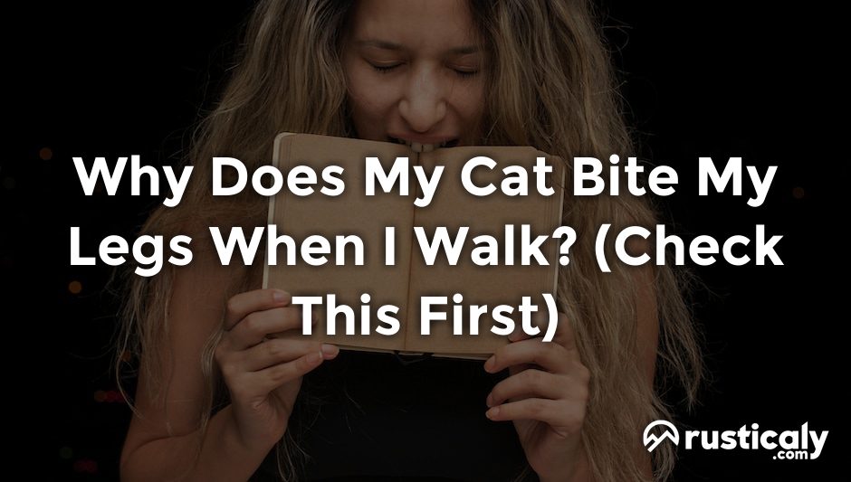 why does my cat bite my legs when i walk