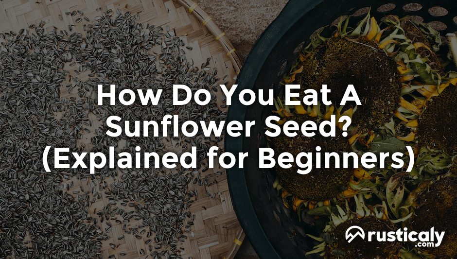 how do you eat a sunflower seed