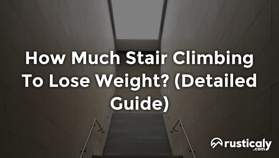 how much stair climbing to lose weight