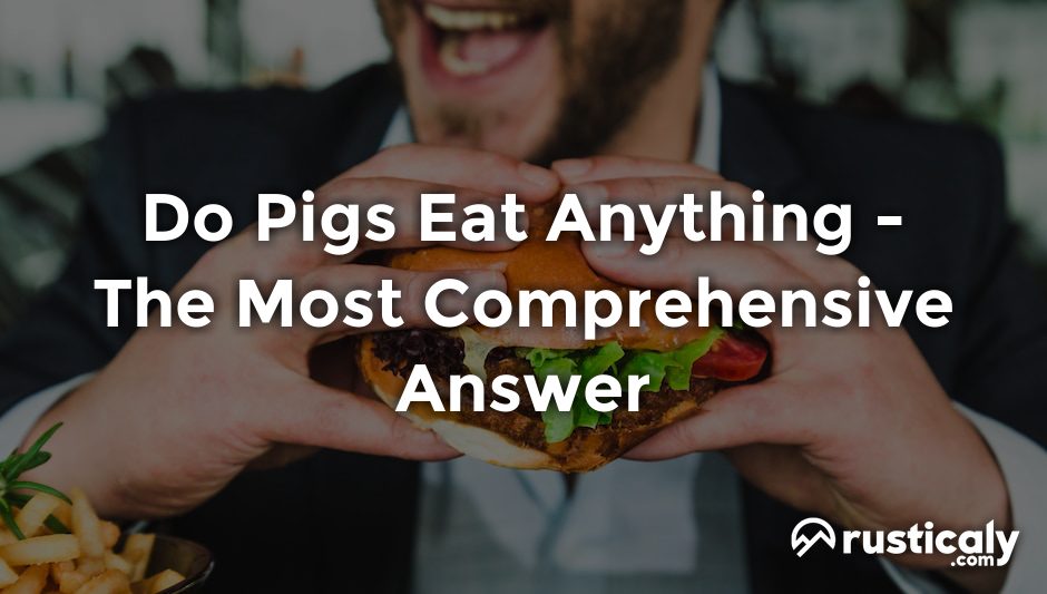 do pigs eat anything