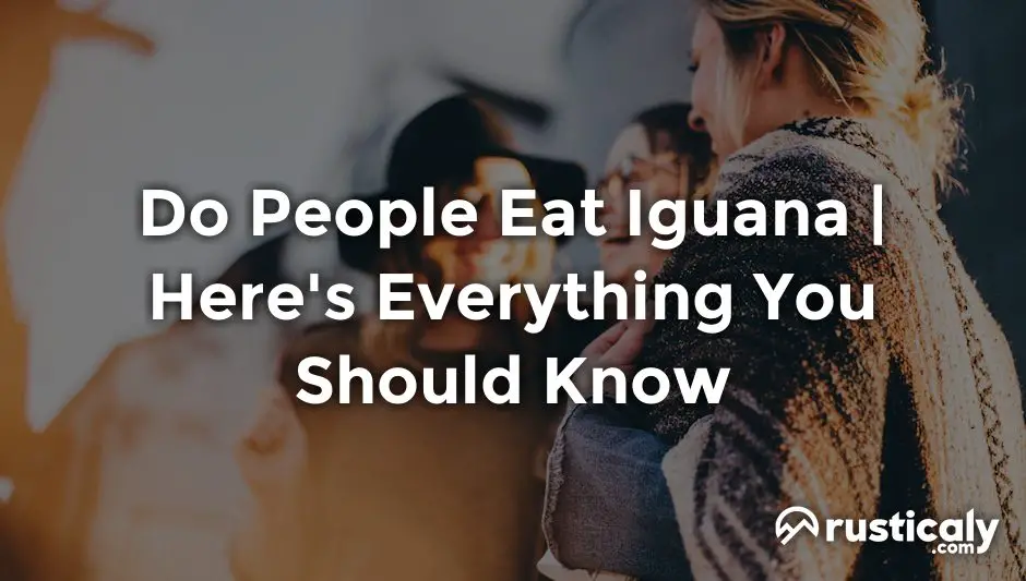 Do People Eat Iguana The Most Comprehensive Answer