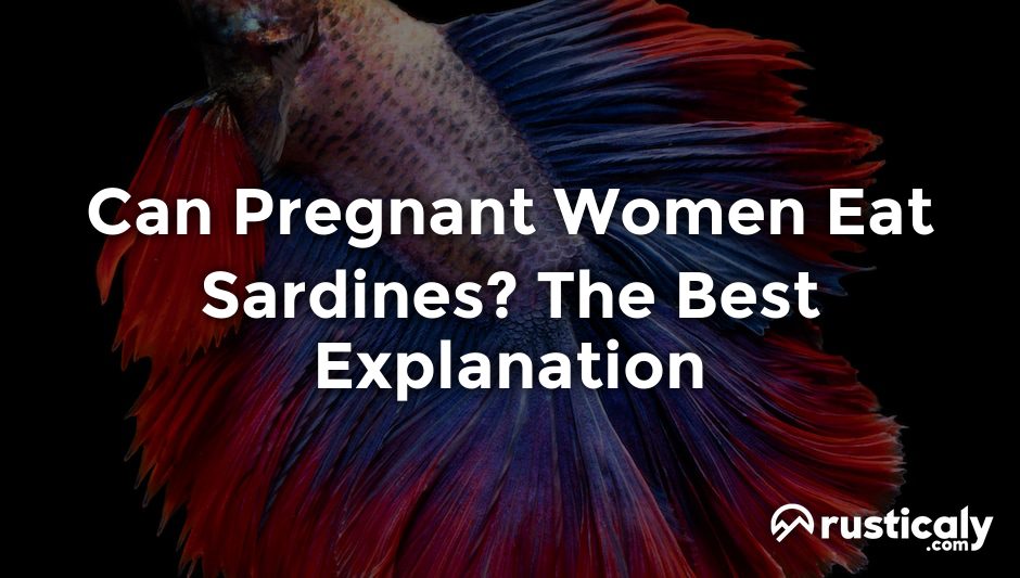 can pregnant women eat sardines