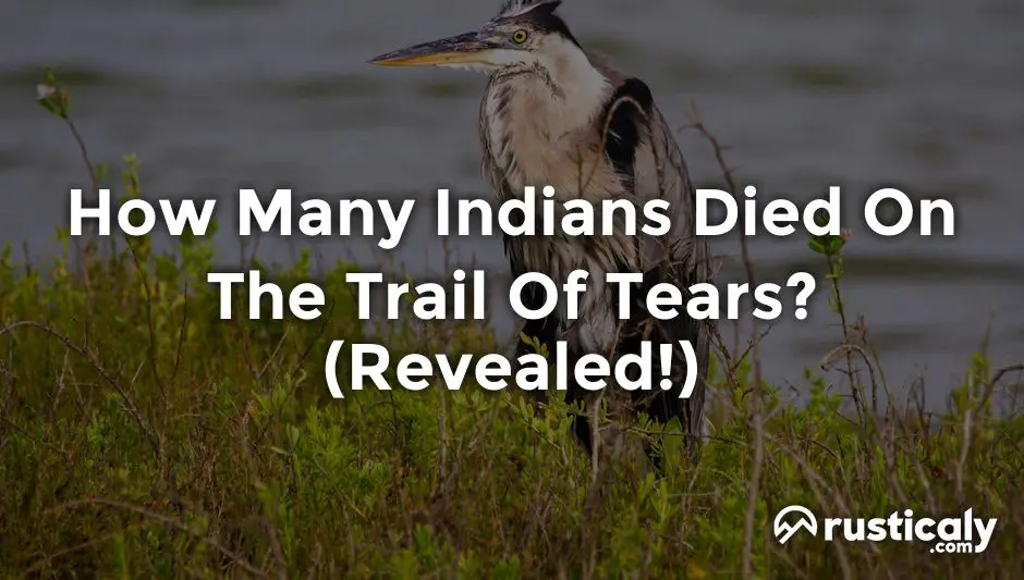how many indians died on the trail of tears