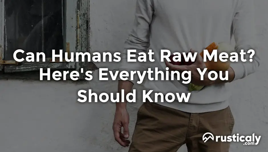 can humans eat raw meat