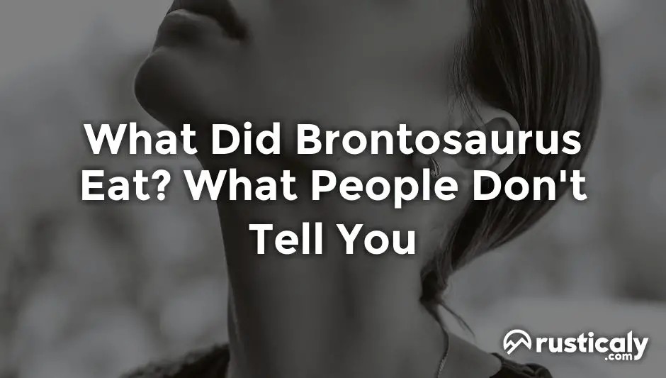 what did brontosaurus eat