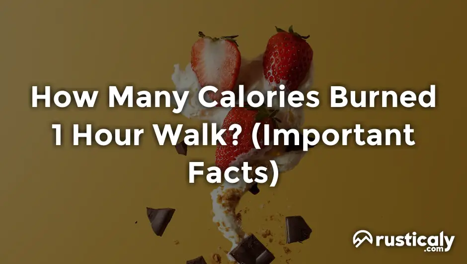 how many calories burned 1 hour walk