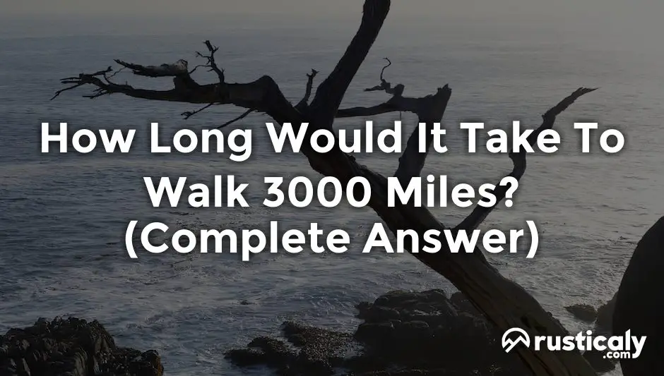 how long would it take to walk 3000 miles