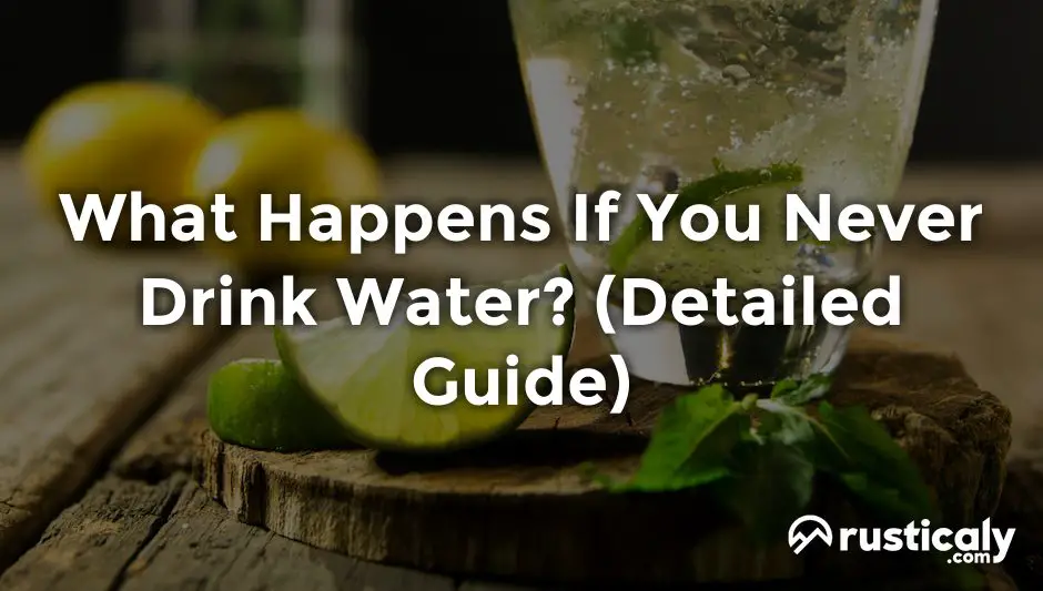 what happens if you never drink water