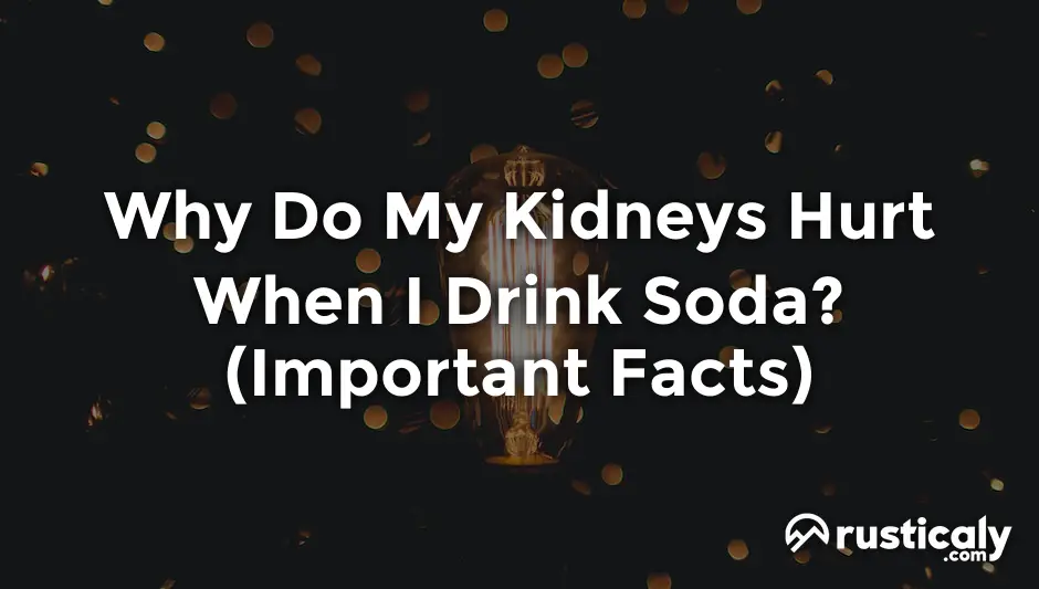 why do my kidneys hurt when i drink soda